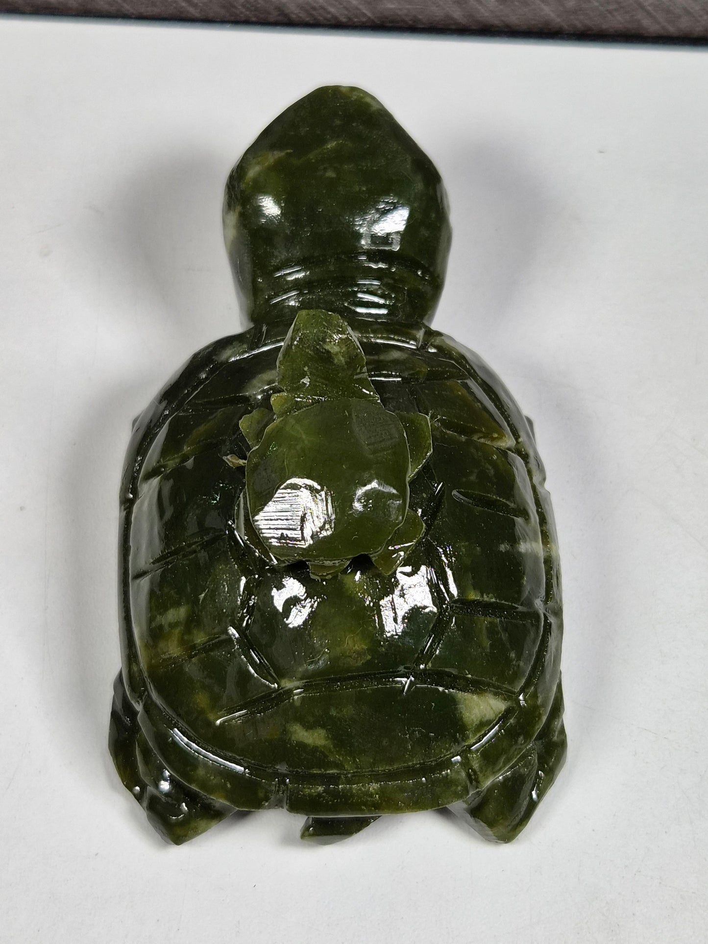 Groene Jade Schilpad Ouder en Kind
