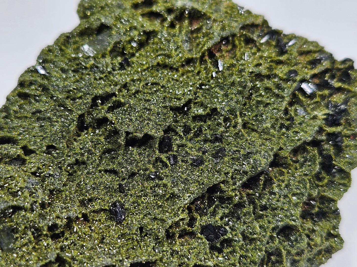 Forest Epidoot 128 gram