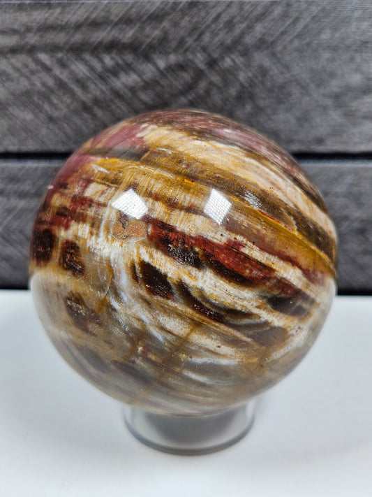 Versteend Hout bol 362 gram