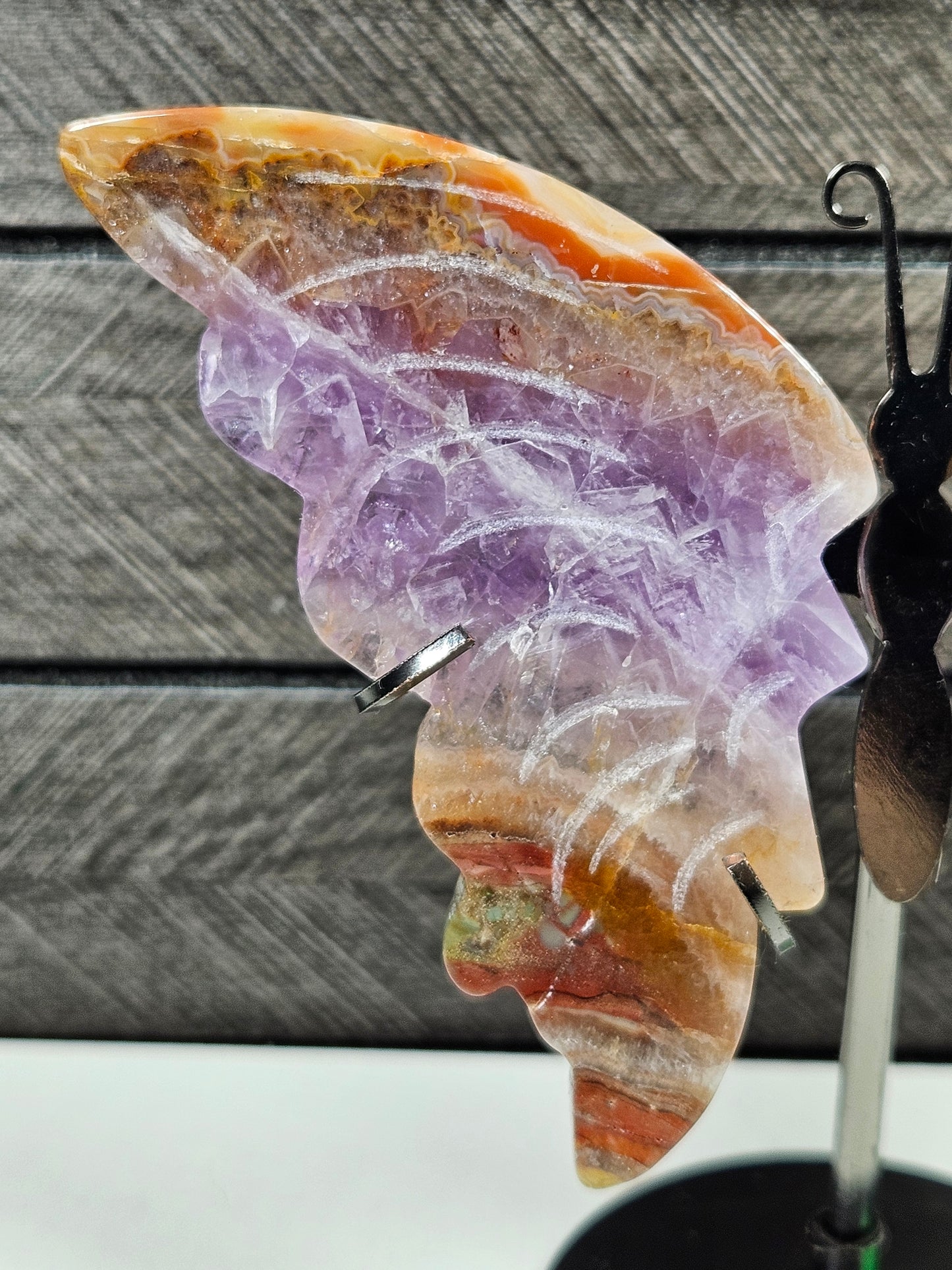 Amethist/Crazy Lace vlinder Q11