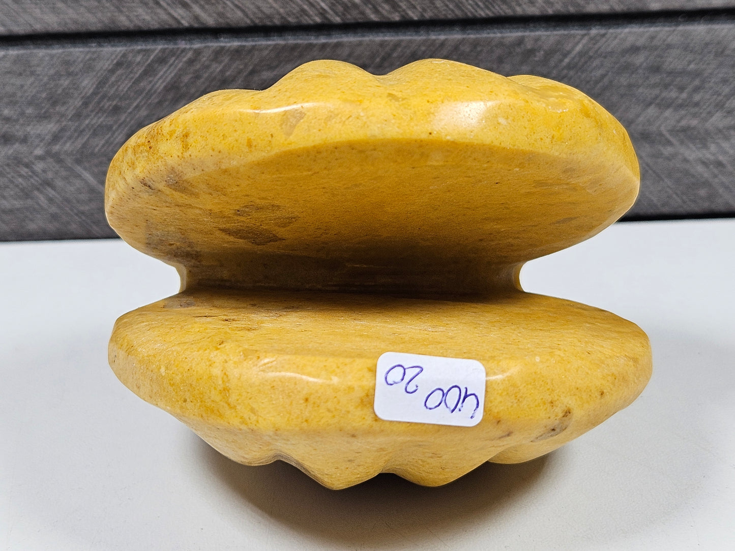 Gele Jaspis Schelp 400 gram