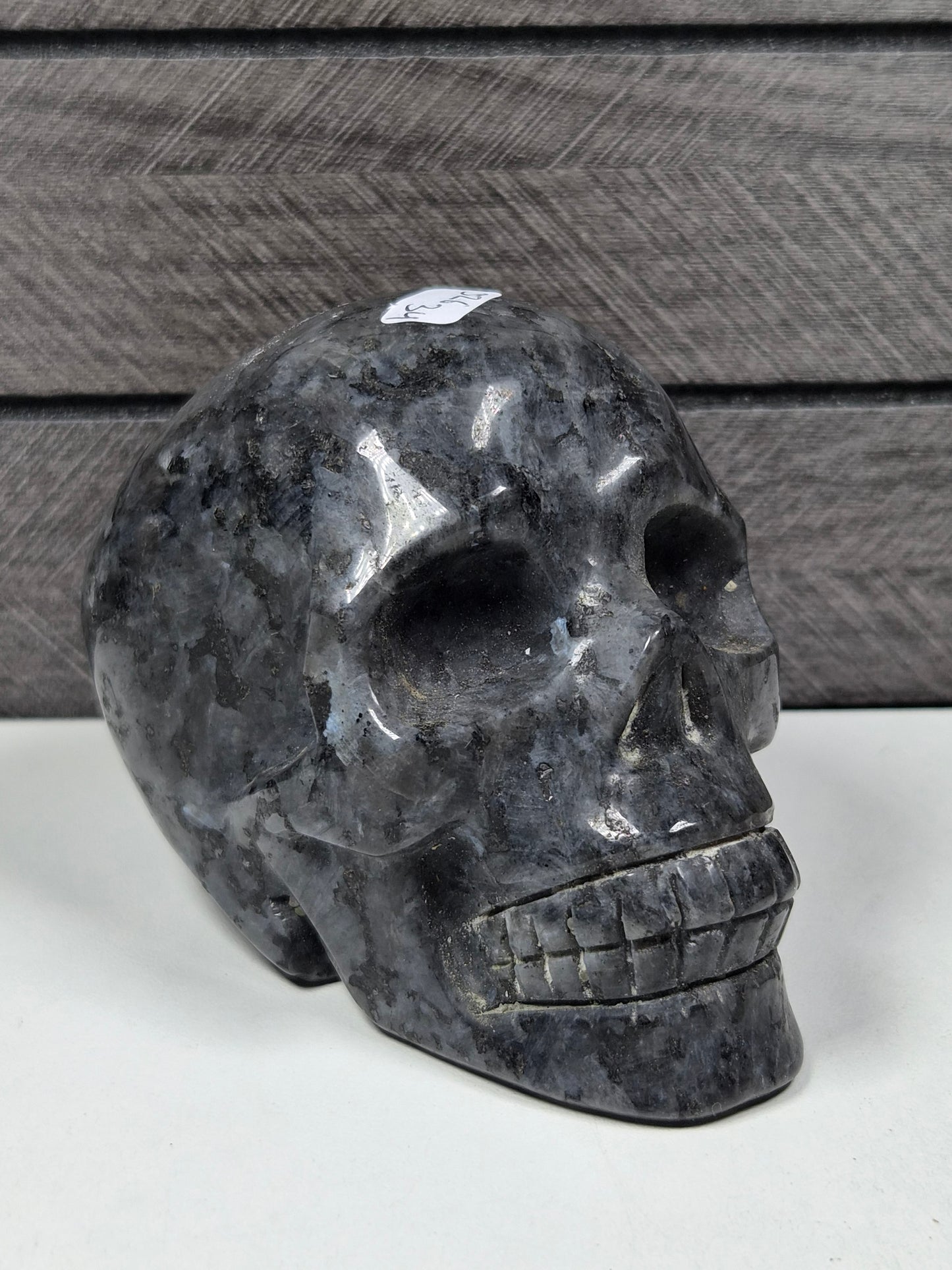 Larvikiet Schedel 526 gram