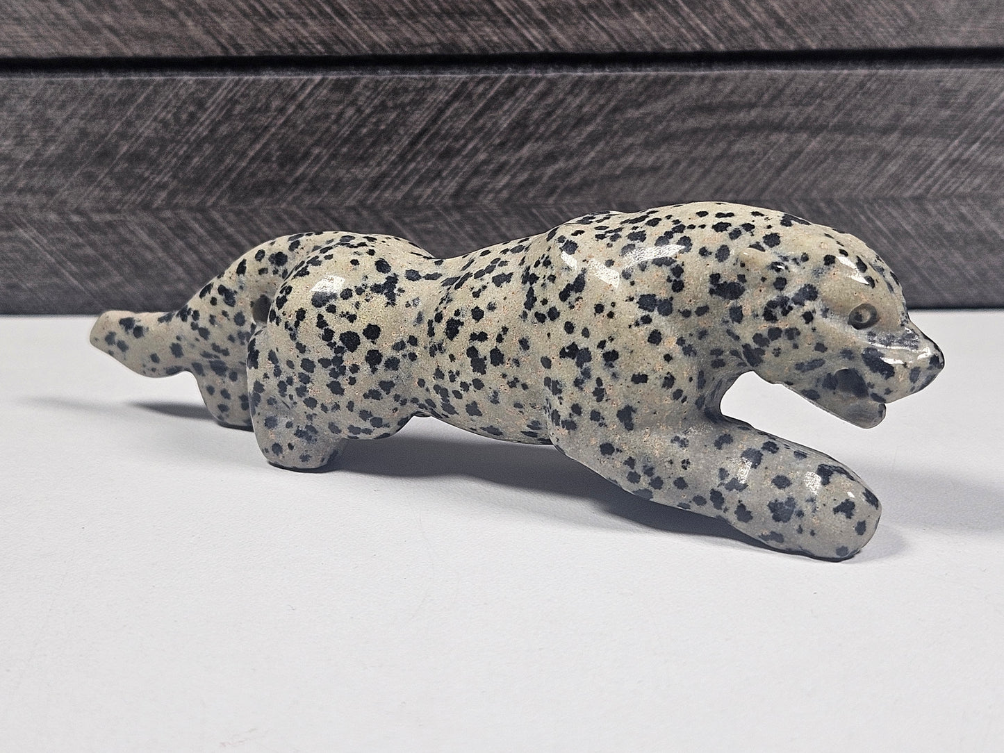 Dalmatier Jaspis Luipaard