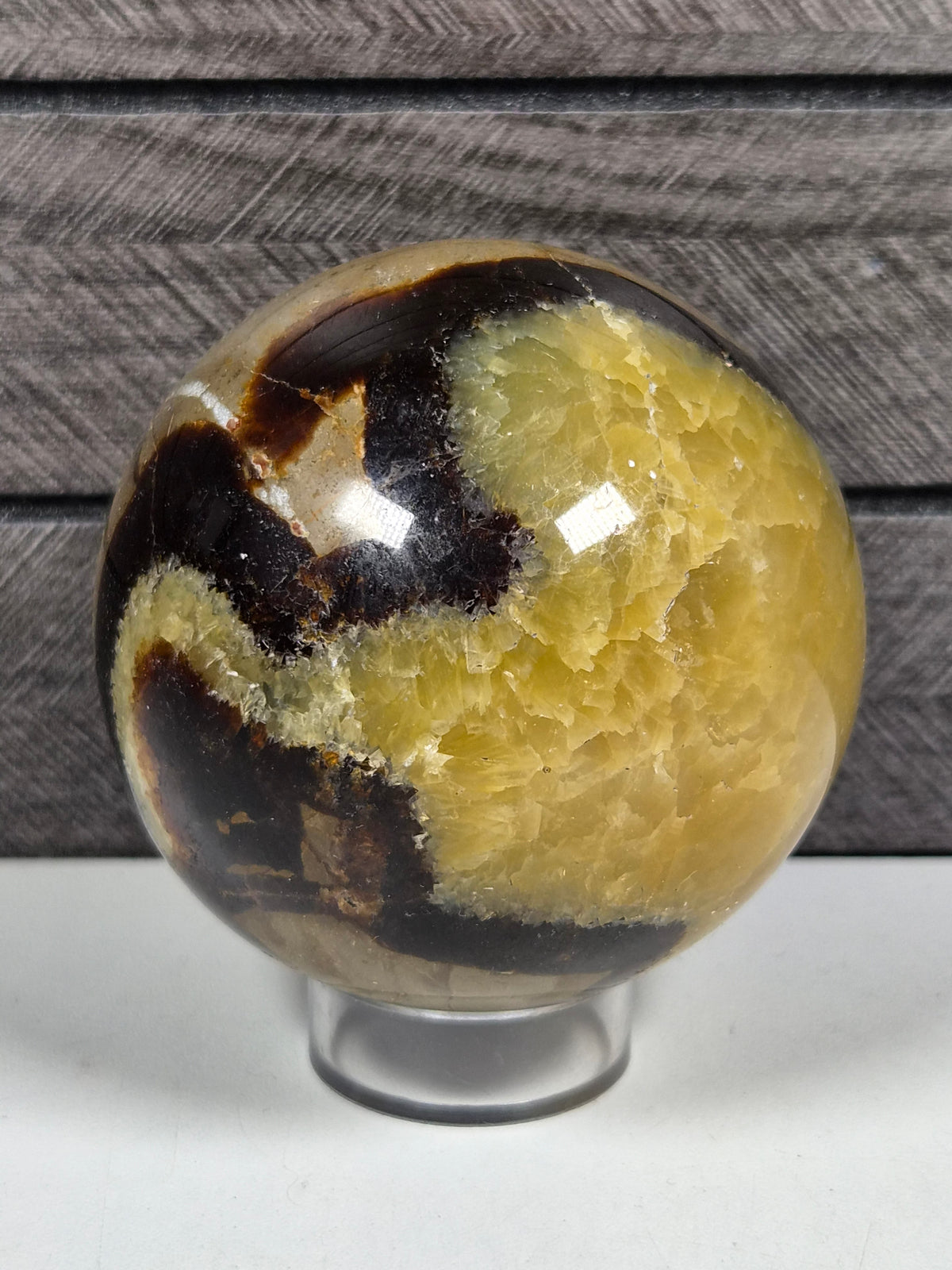 Septarie bol 504 gram