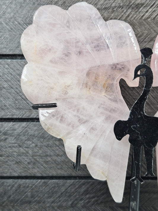 Rozenkwarts pauw nr1