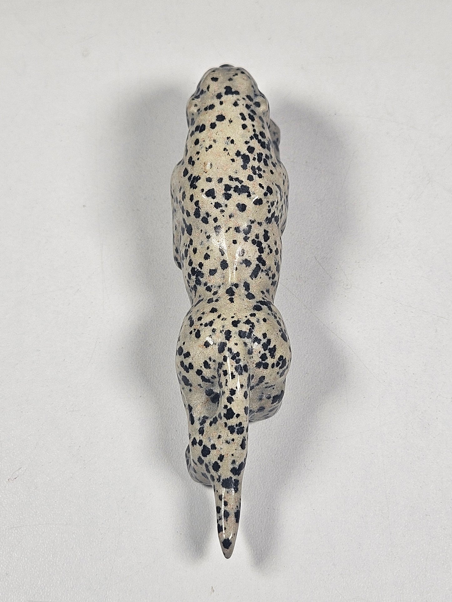 Dalmatier Jaspis Luipaard