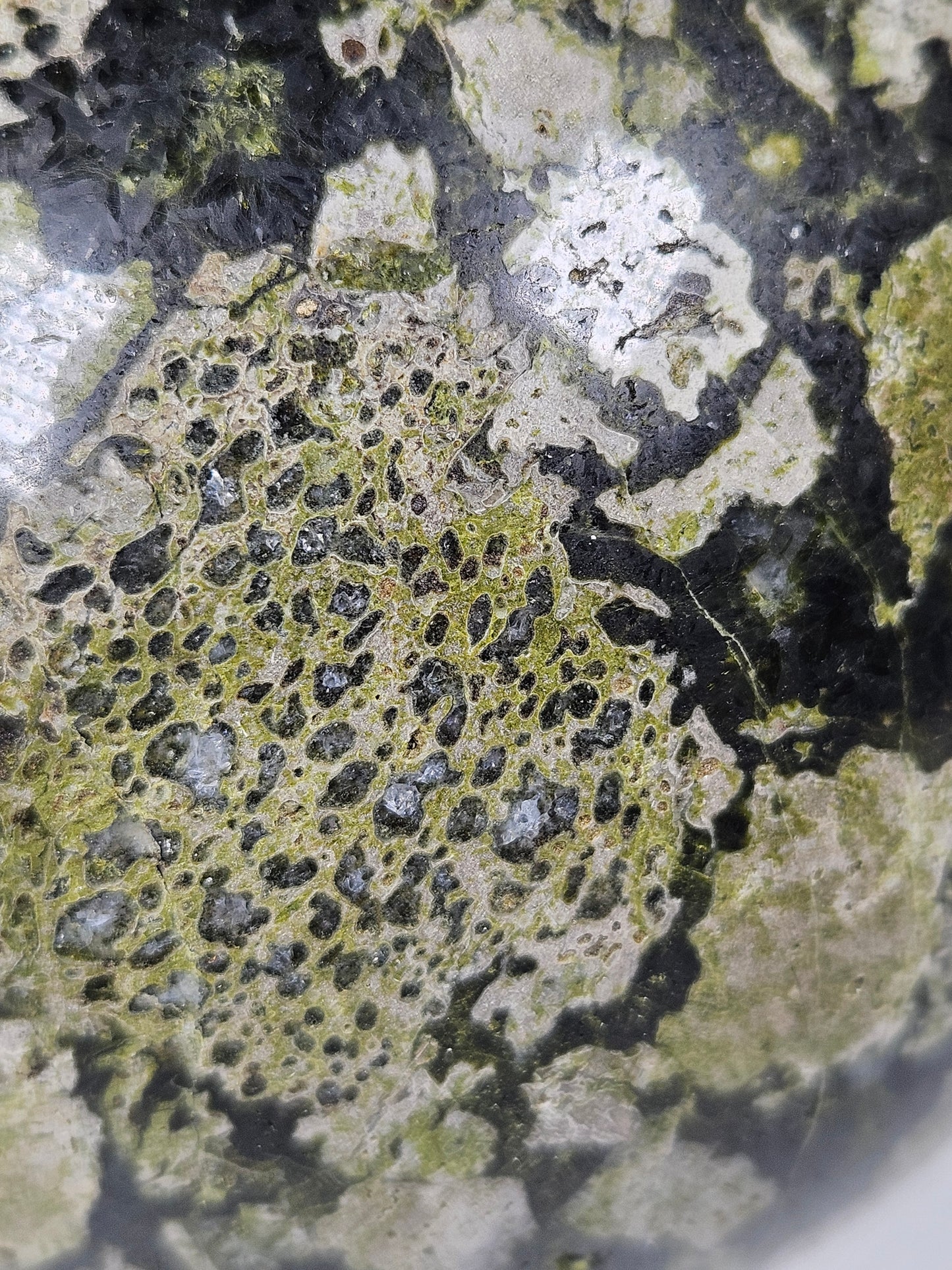 Epidoot Bol 1178 gram