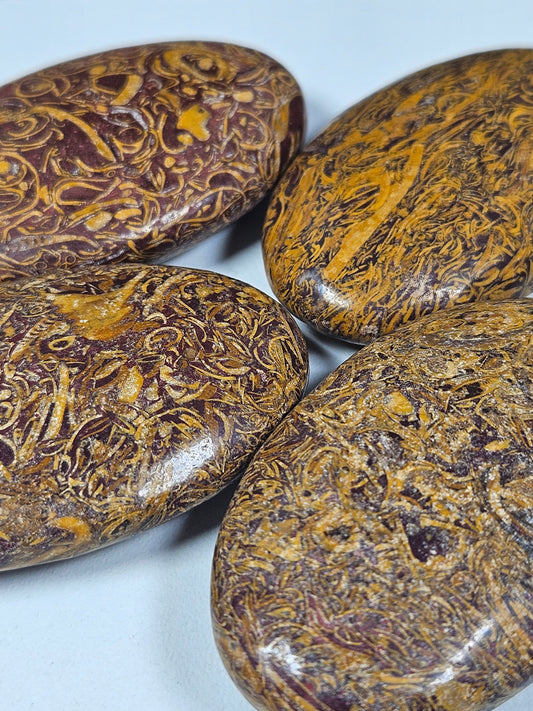 Slangen Jaspis palmsteen