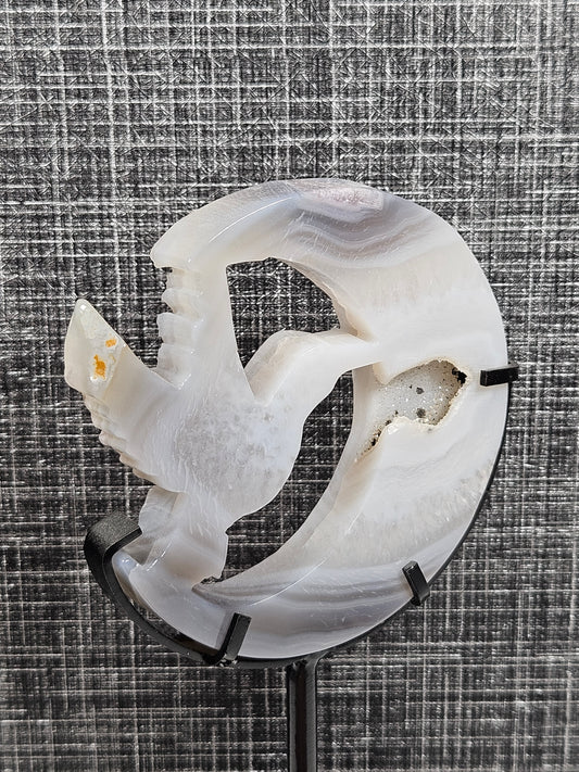 Agaat kolibrie in de maan op standaard nr1