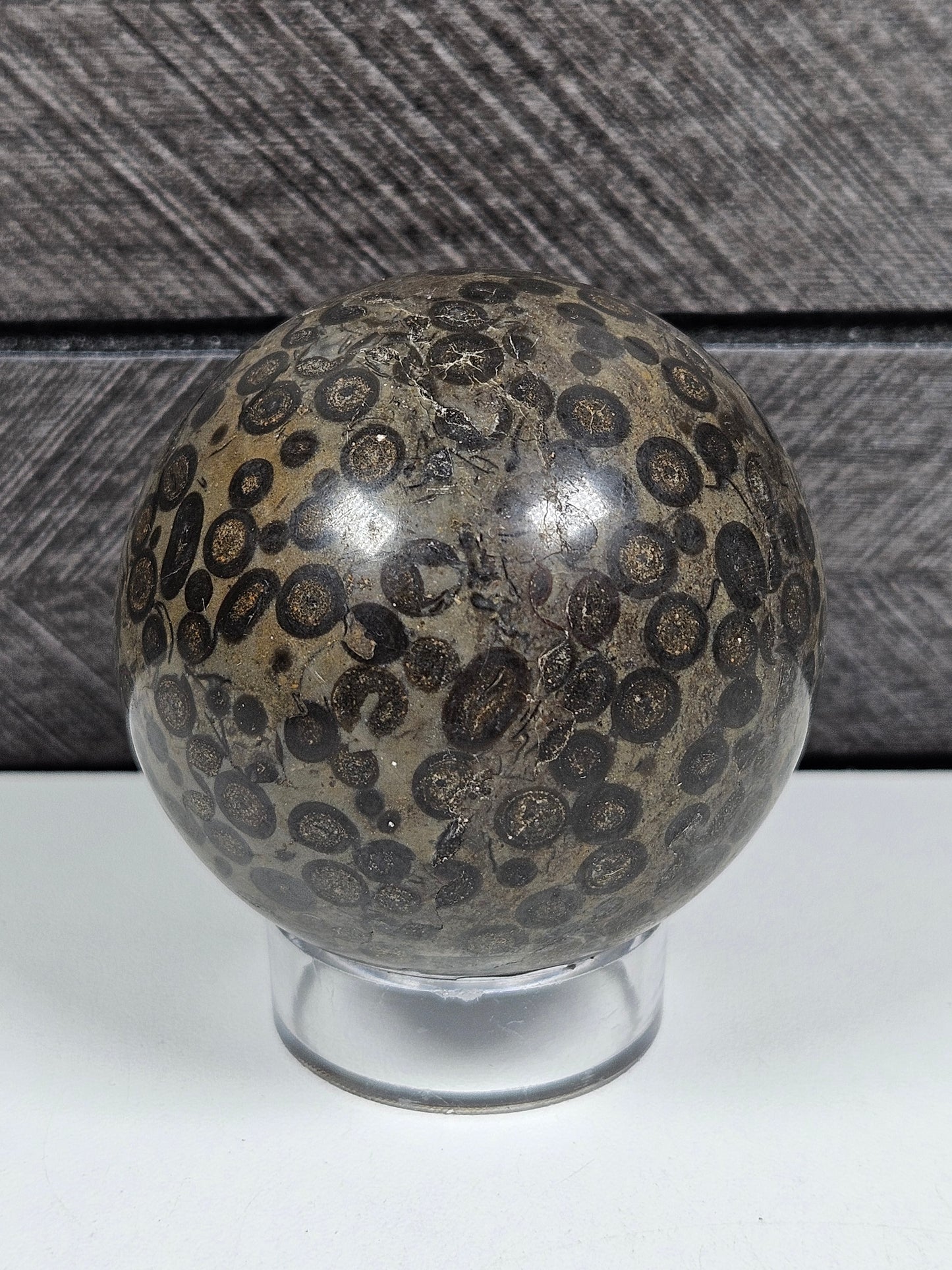 Leopard Skin Jasper bol 214 gram