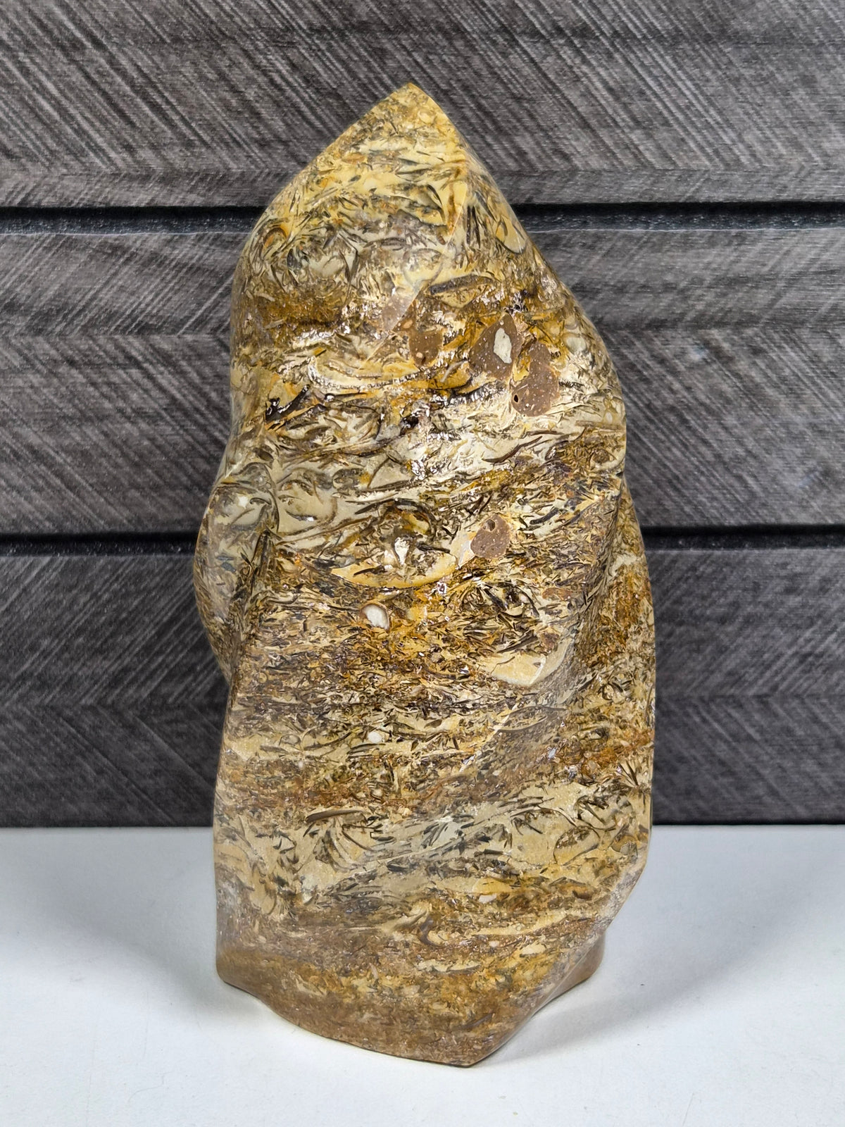 Fossiel Jaspis Sculptuur 424 gram