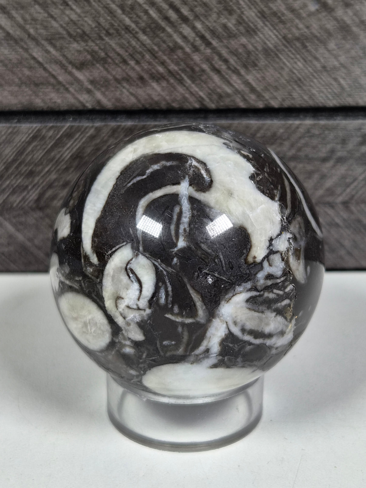 Sea Shell Jaspis bol 204 gram
