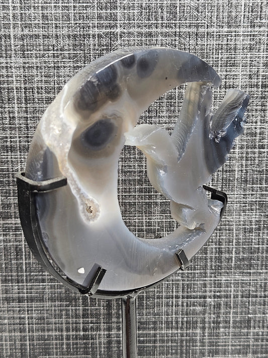 Agaat kolibrie in de maan op standaard nr3