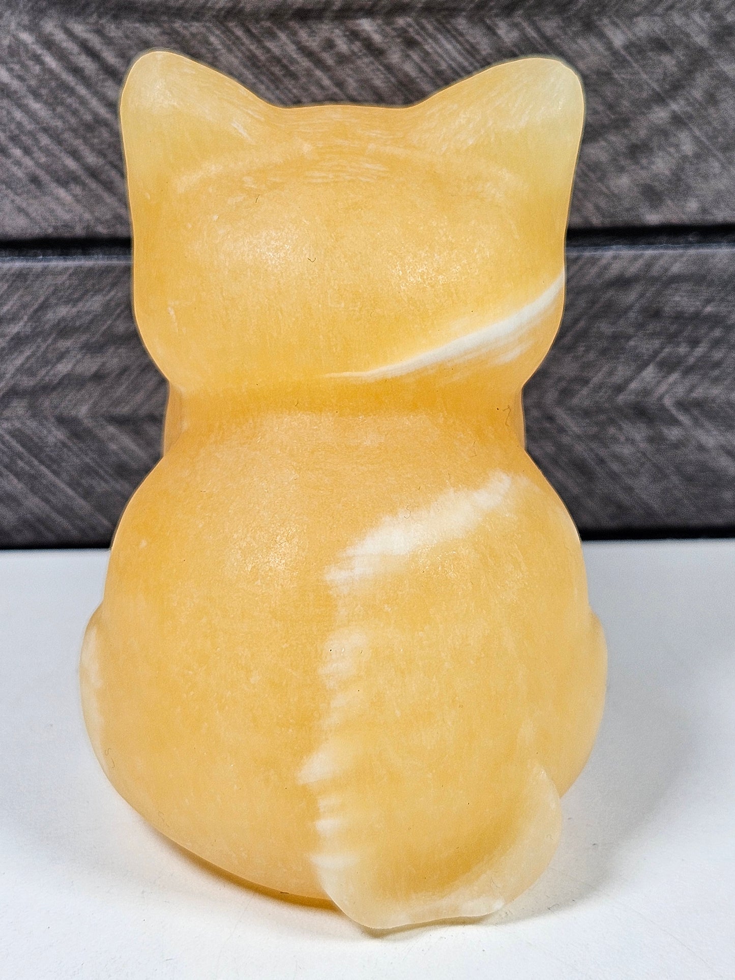 Honing Calciet Zittende Kat