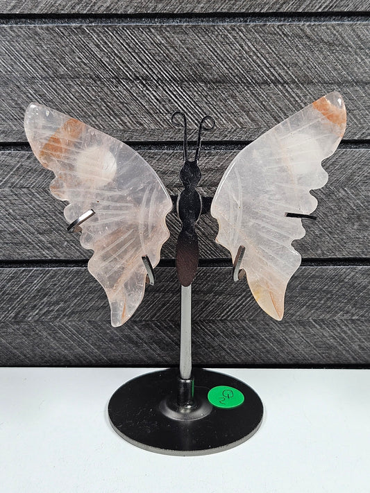 Vuurkwarts vlinder Q2