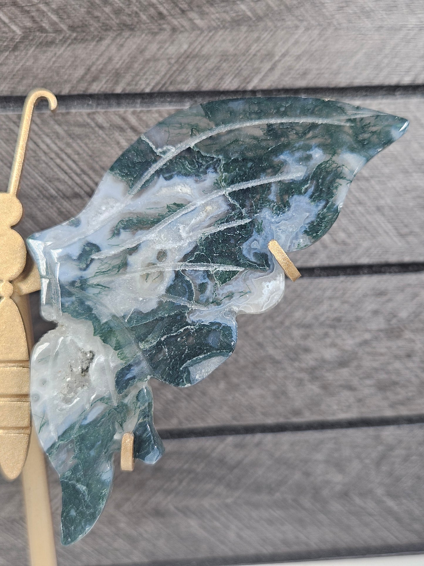 Mosagaat vlinder W59