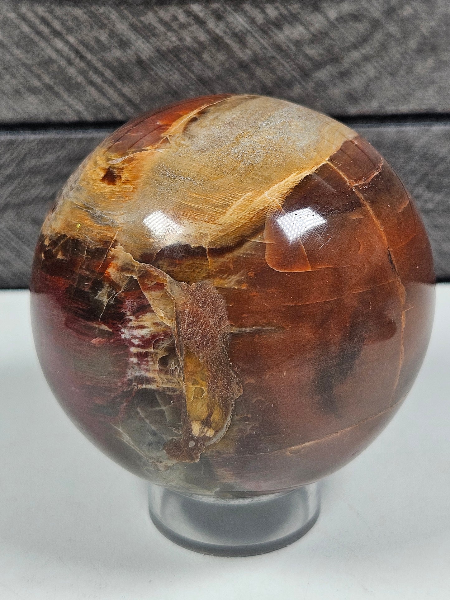 Versteend Hout bol 442 gram