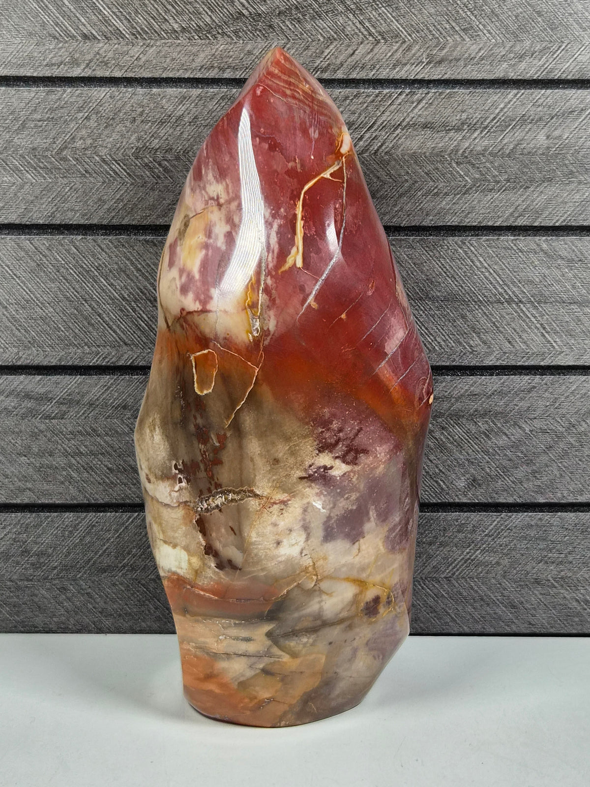 Versteend Hout Sculptuur 1652 gram