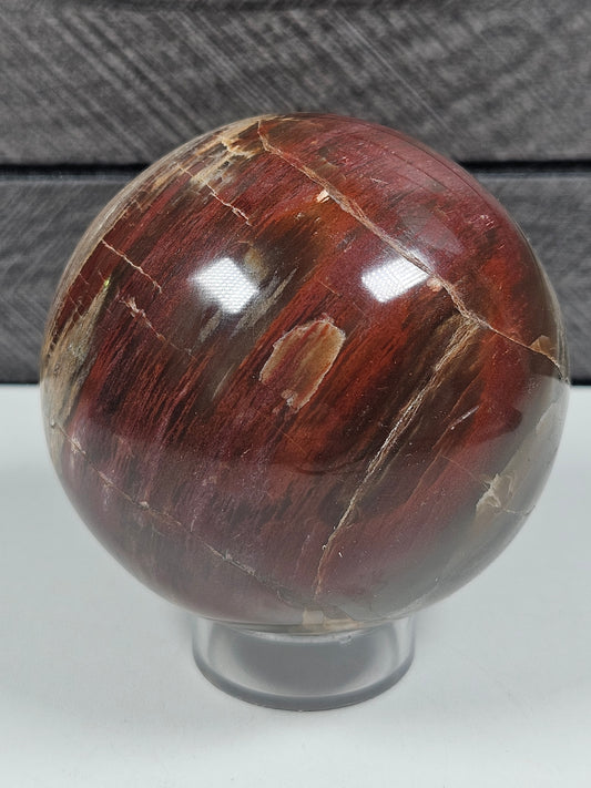 Versteend Hout bol 442 gram