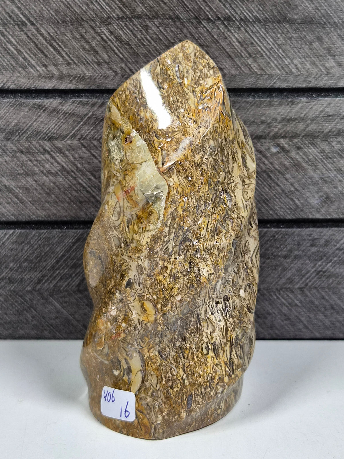Fossiel Jaspis Sculptuur 406 gram