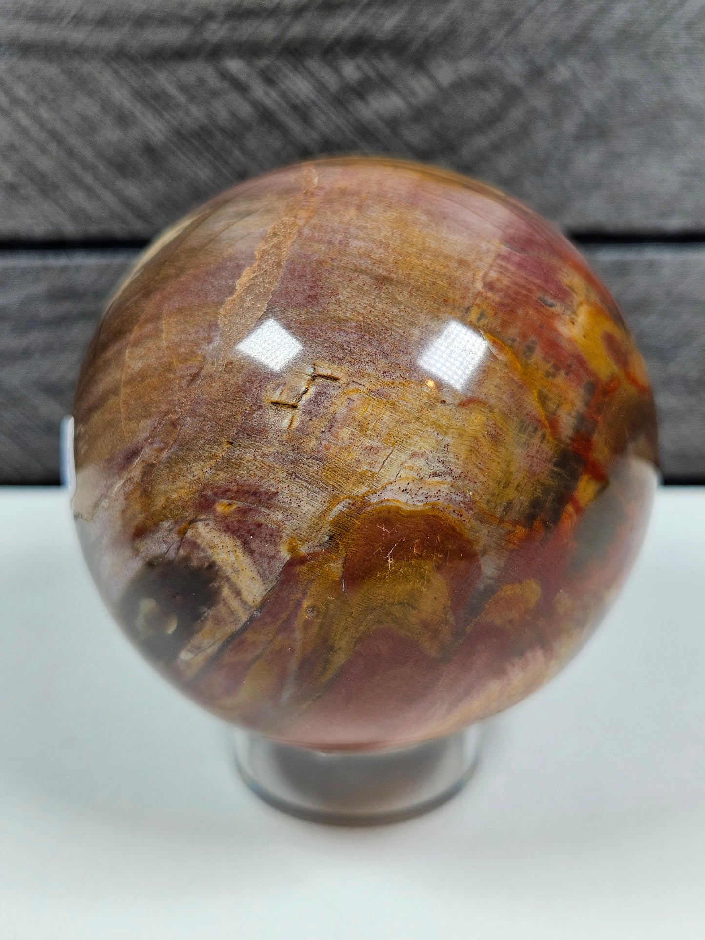 Versteend Hout bol 386 gram