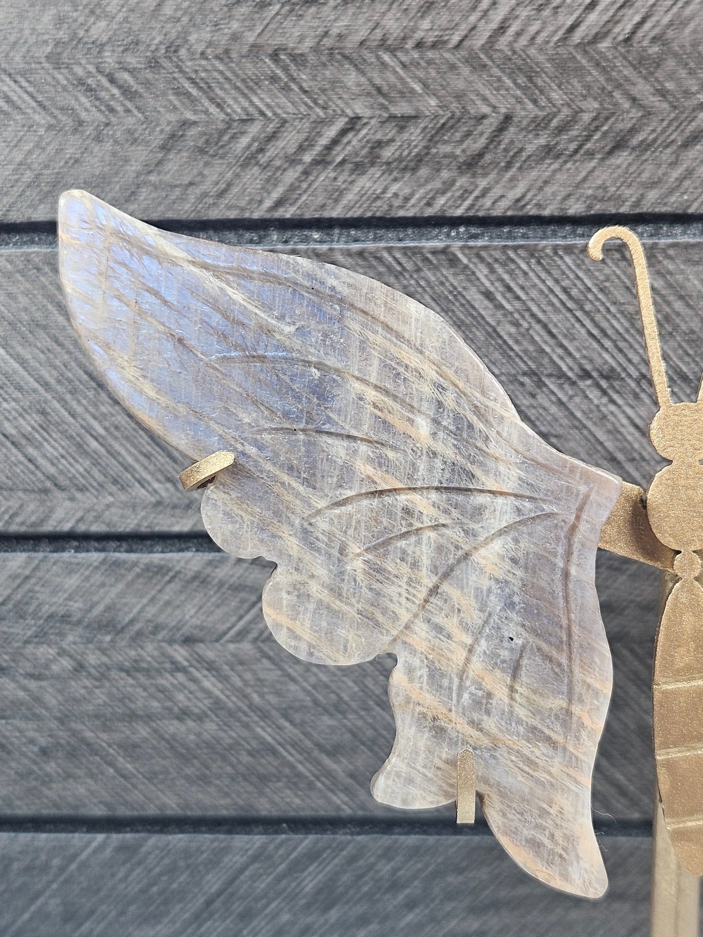 Maansteen Vlinder nr2