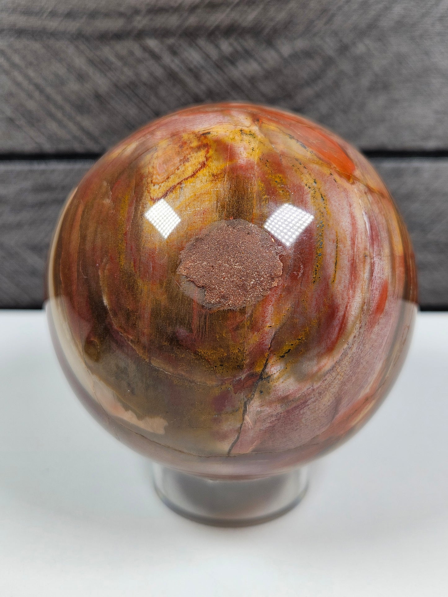 Versteend Hout bol 386 gram