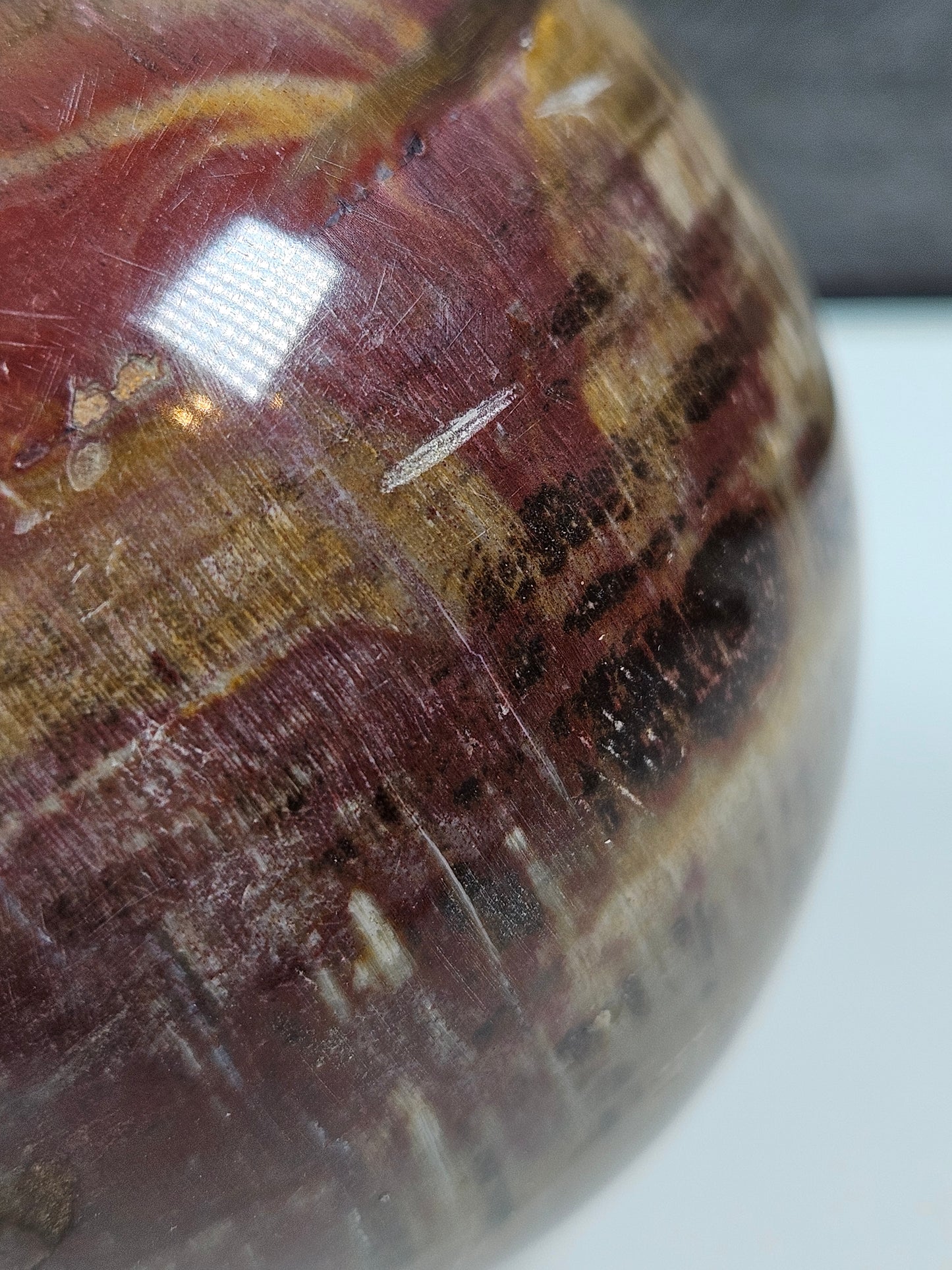 Versteend Hout bol 362 gram