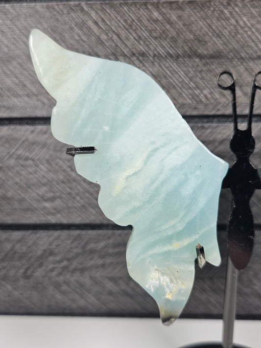 Caribisch calciet vlinder 65