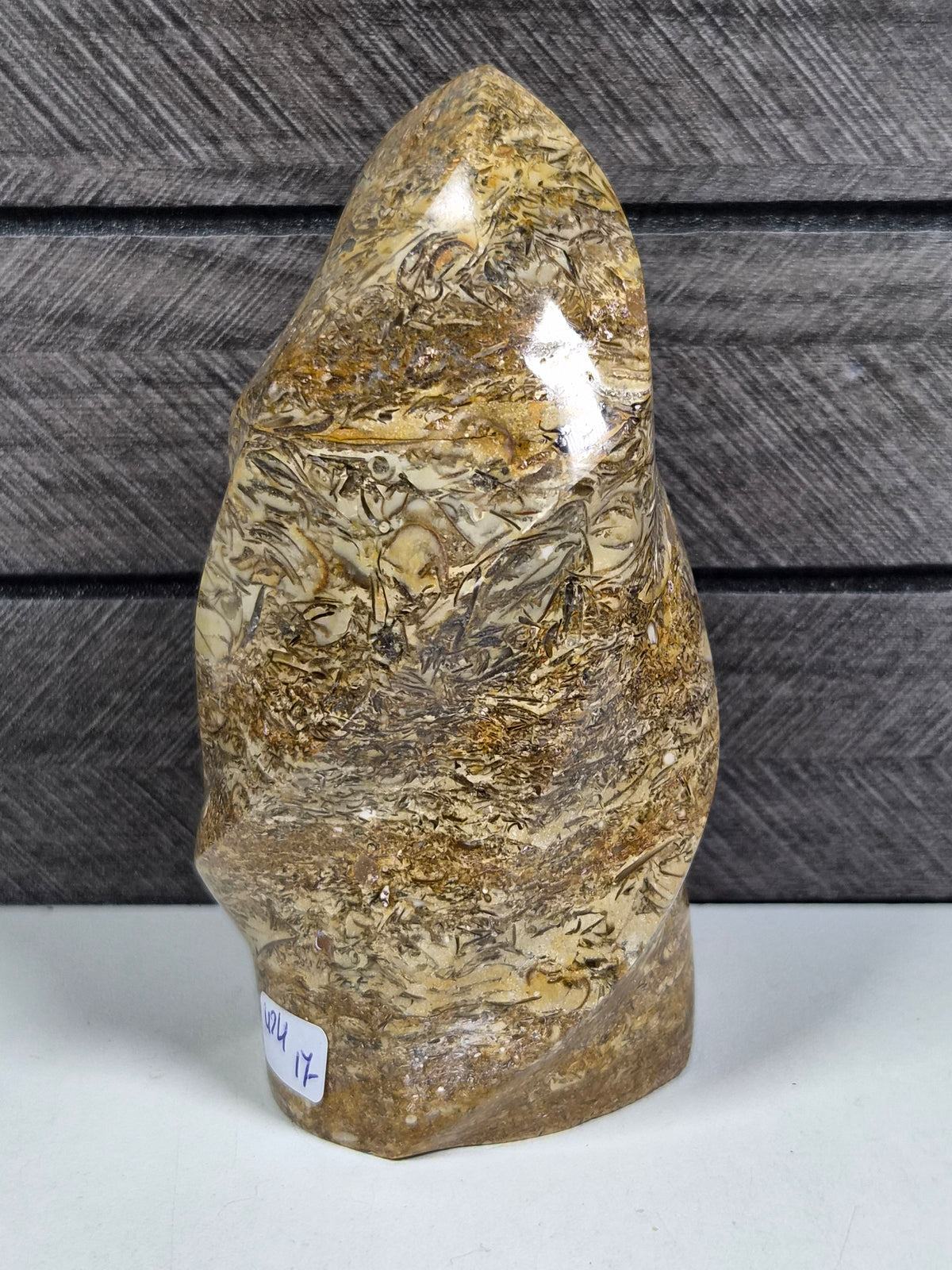Fossiel Jaspis Sculptuur 424 gram