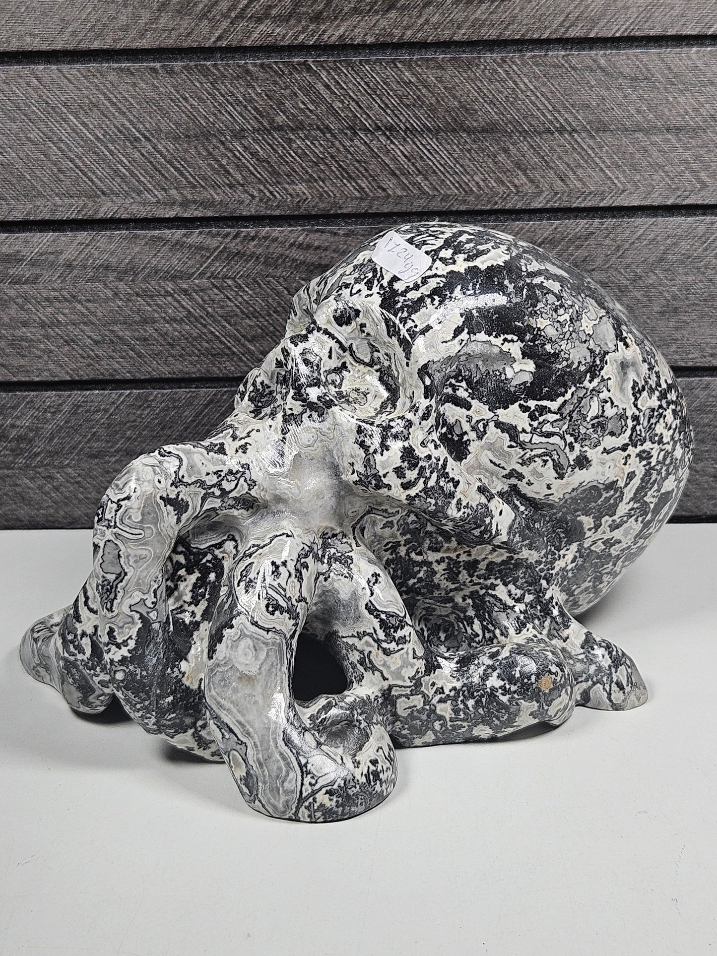 Picasso Jaspis Octopus Schedel 1724 gram