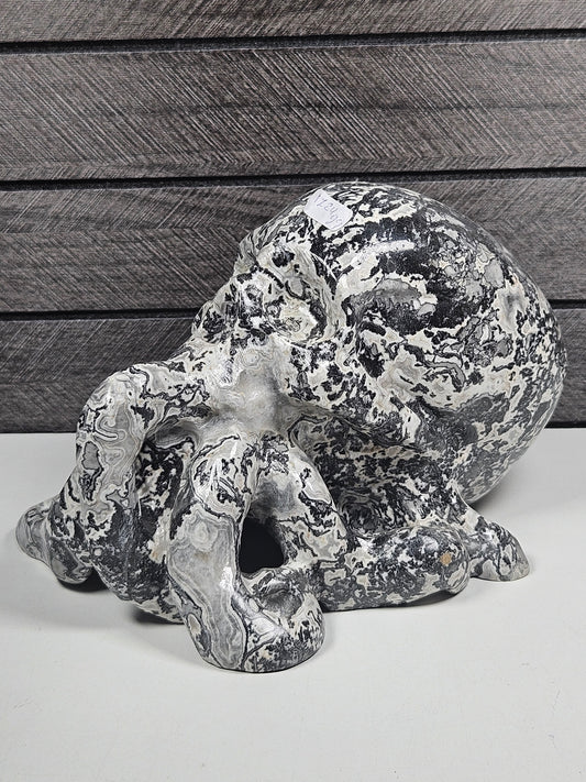 Picasso Jaspis Octopus Schedel 1724 gram