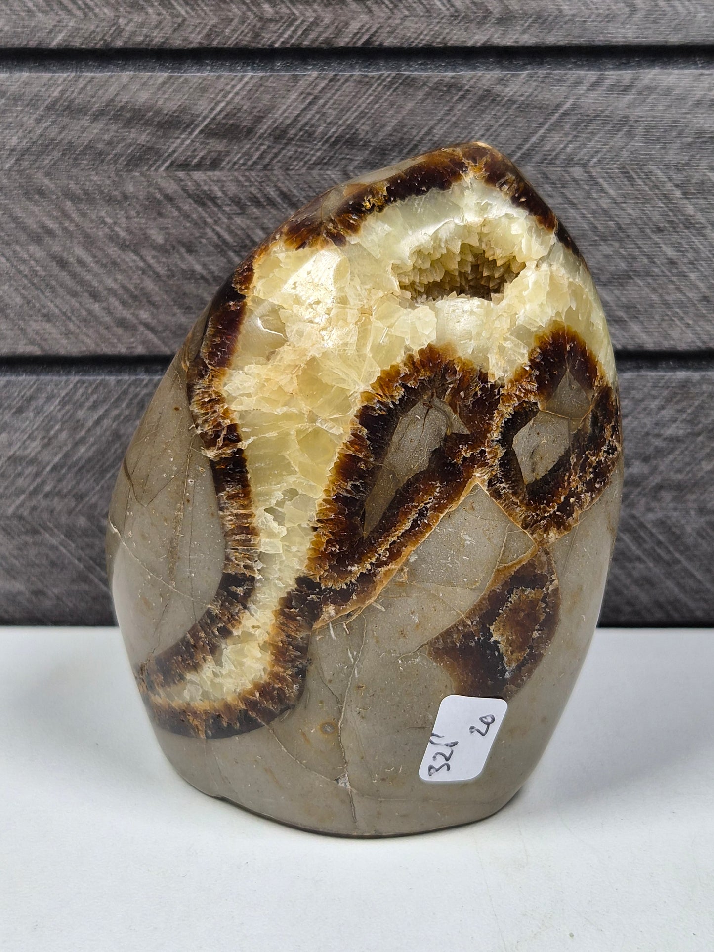 Septarie Sculptuur 328 gram