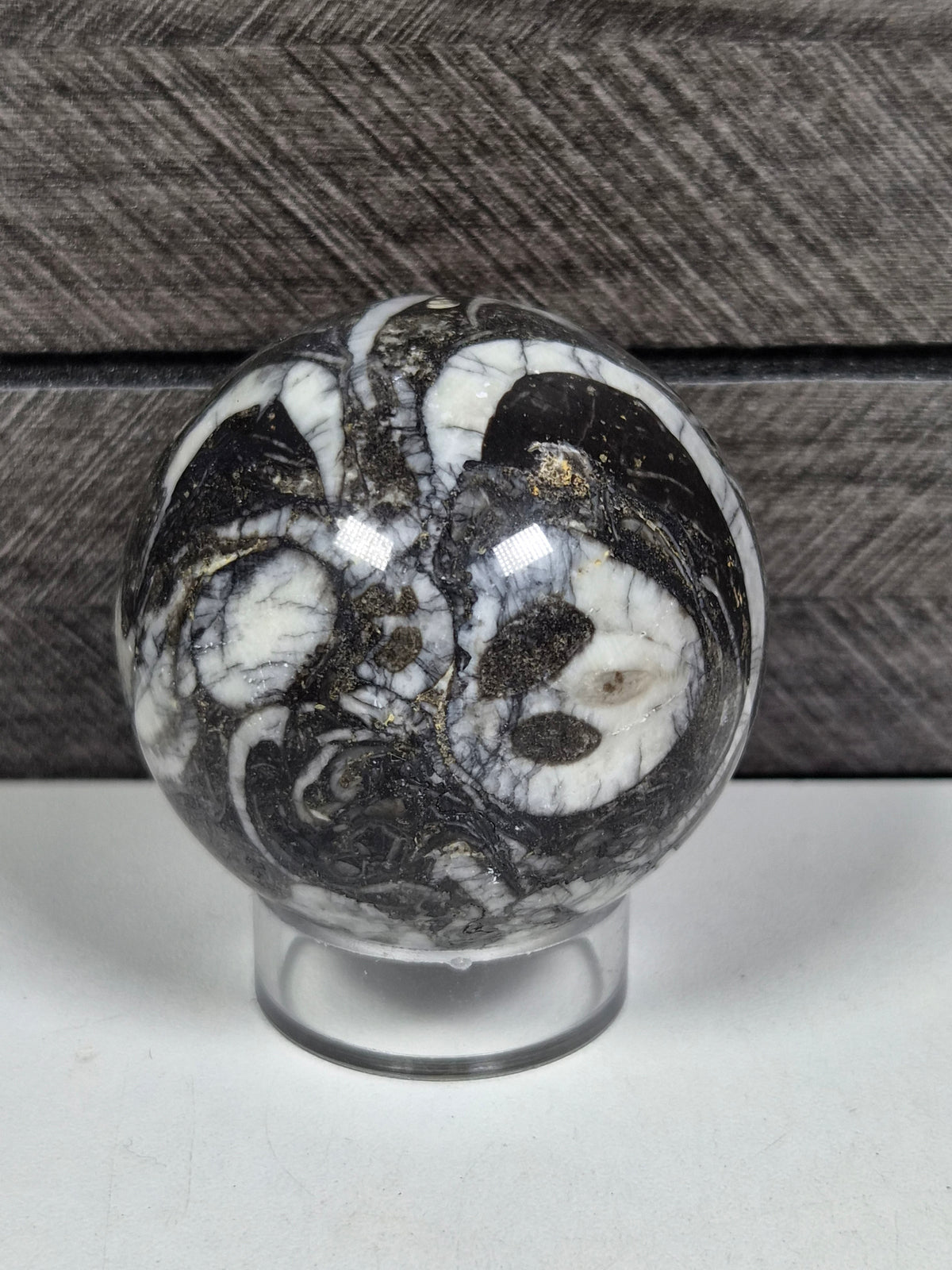 Sea Shell Jaspis bol 202 gram