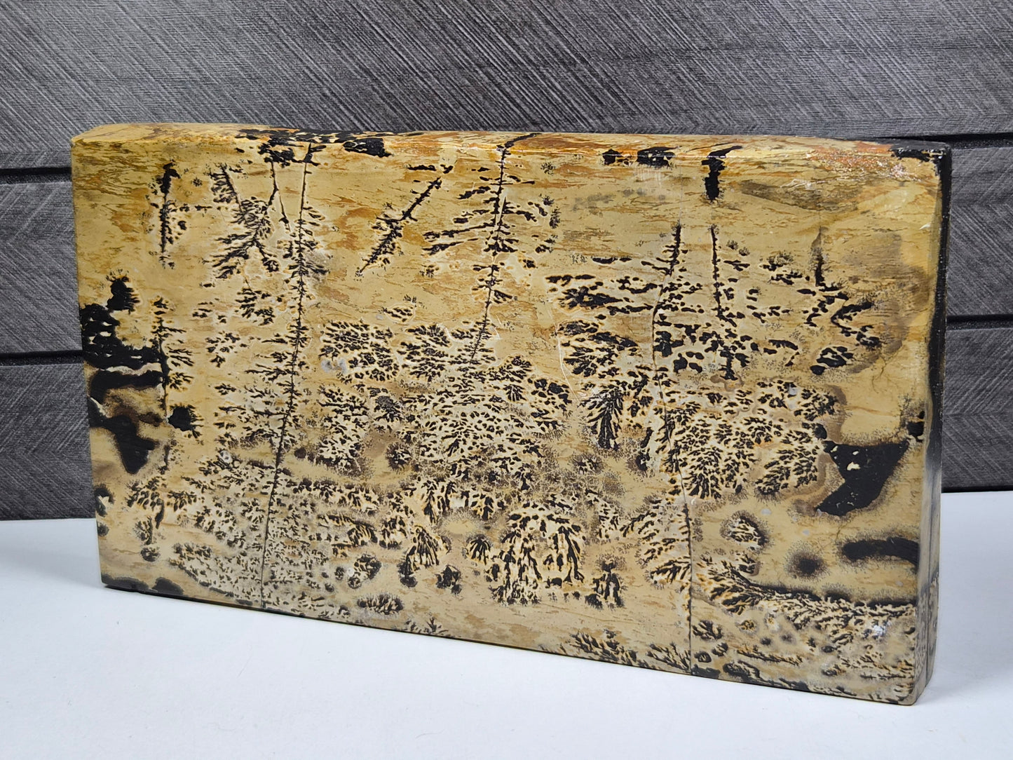 Landschap Jaspis Slab 854 gram