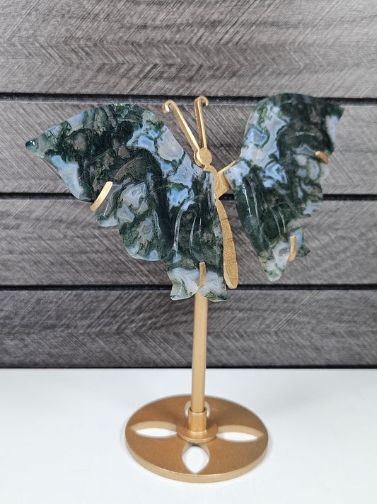 Mosagaat vlinder T47