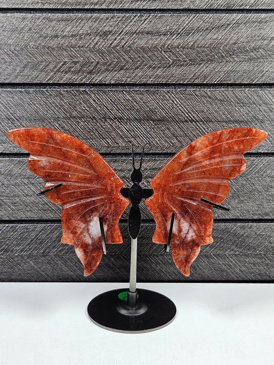 Vuurkwarts vlinder Q8