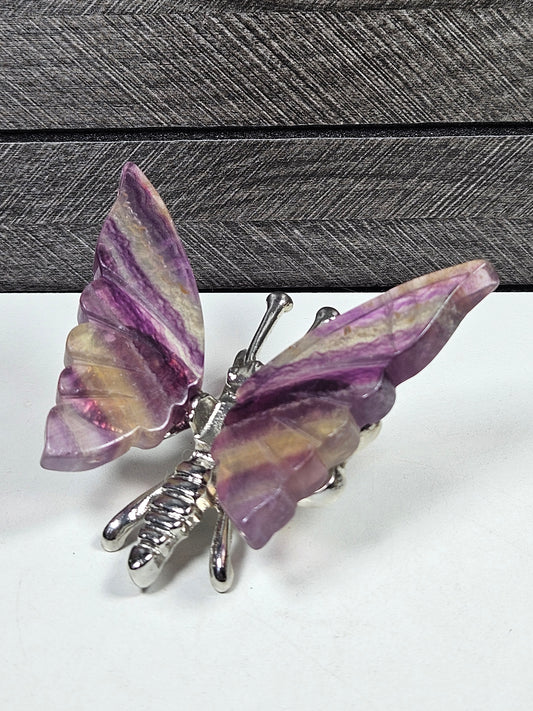 Fluoriet vlinder zilver lijfje nr 5