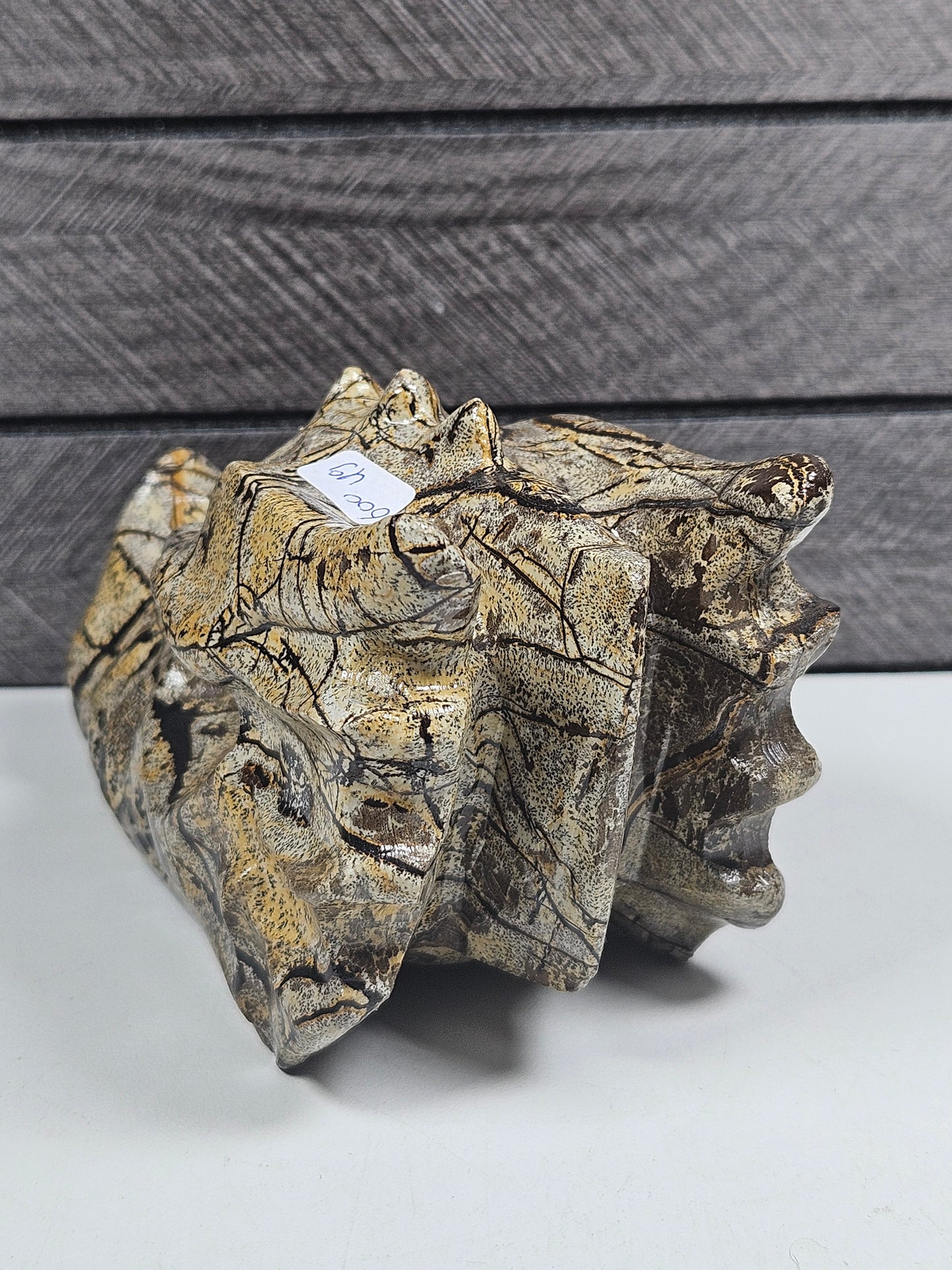 Landschap Jaspis Drakenkop 600 gram