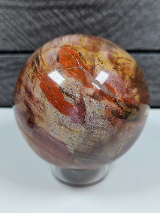 Versteend Hout bol 386 gram