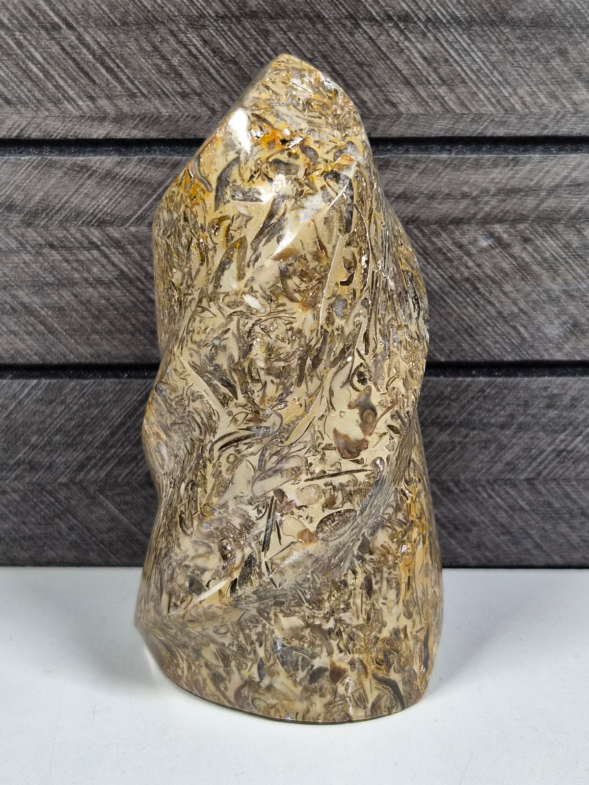 Fossiel Jaspis Sculptuur 406 gram