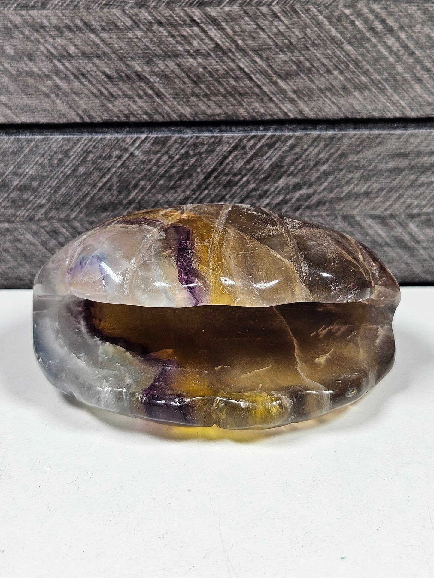 Fluoriet schelp 282 gram