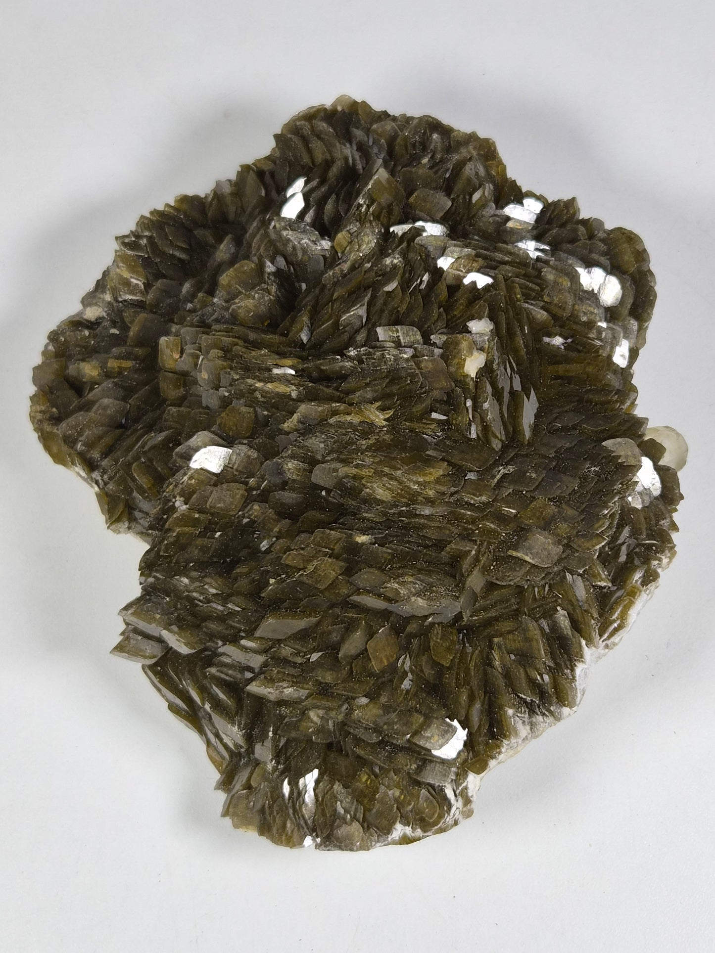 Sideriet Ruw 1566 gram