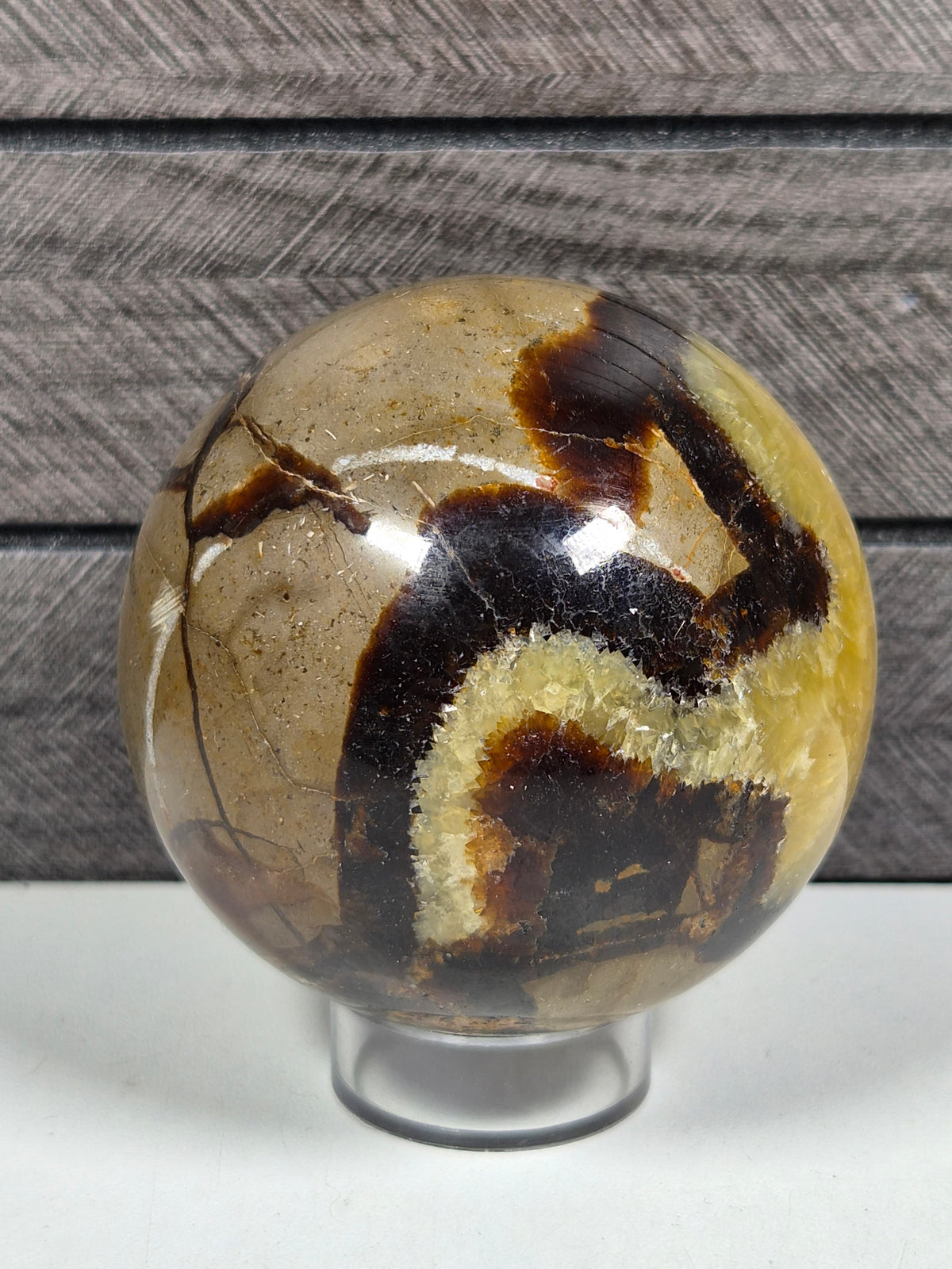 Septarie bol 504 gram