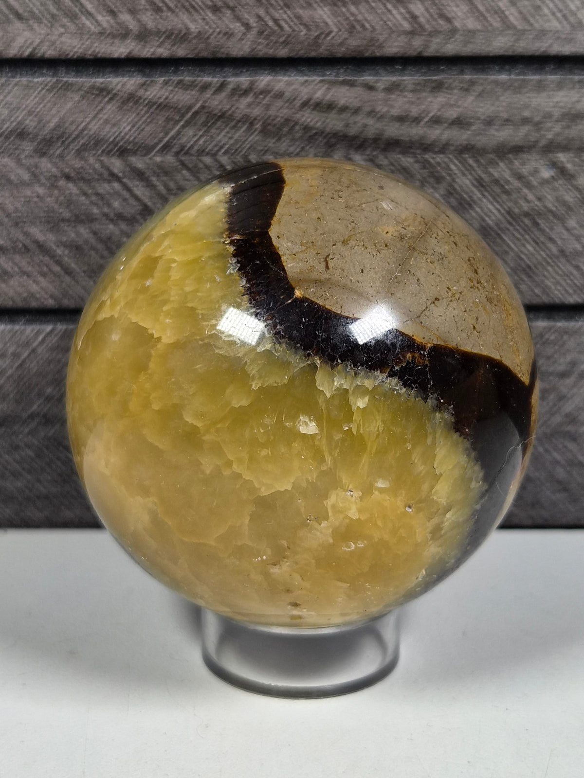 Septarie bol 504 gram