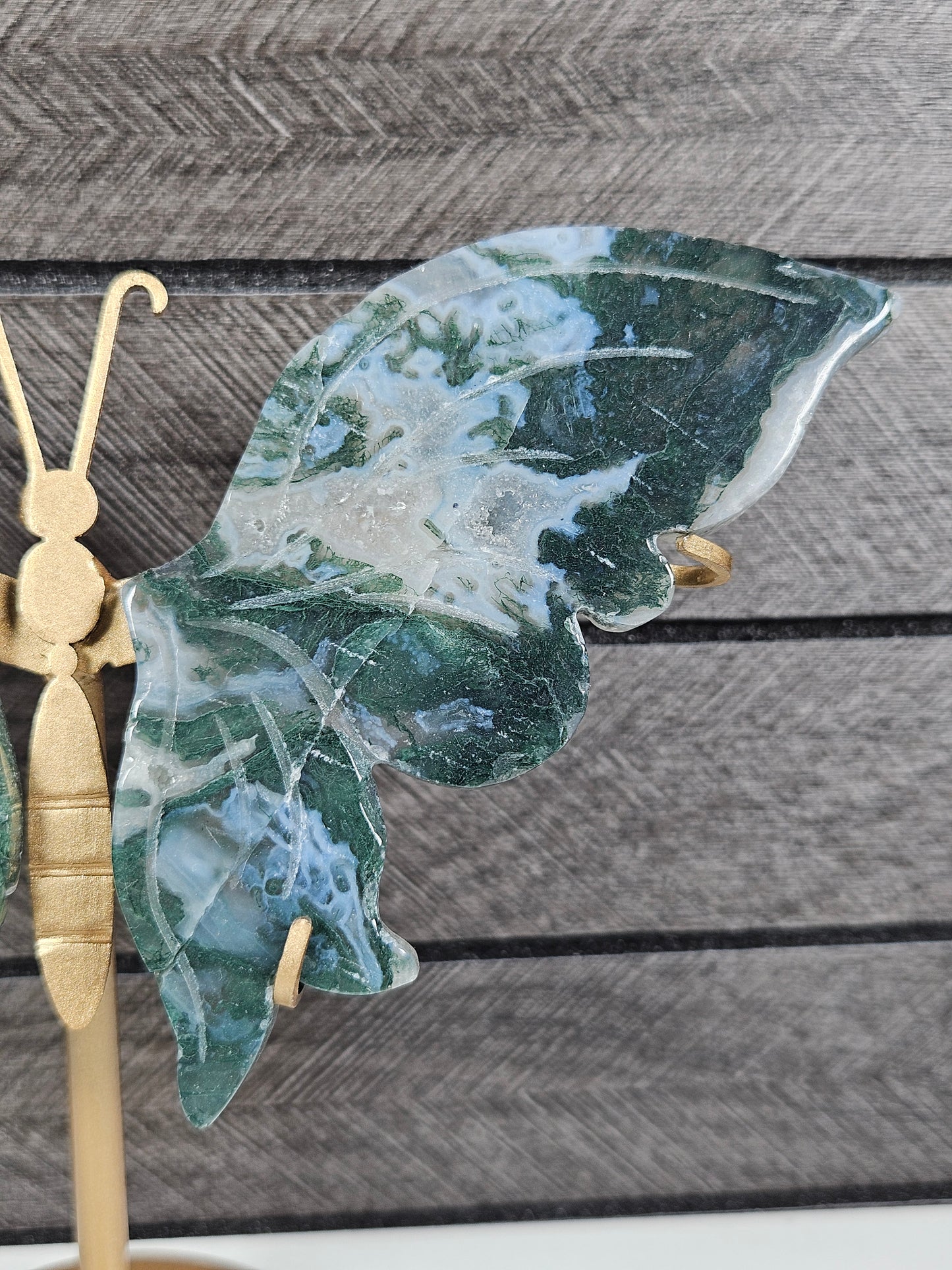 Mosagaat vlinder T63