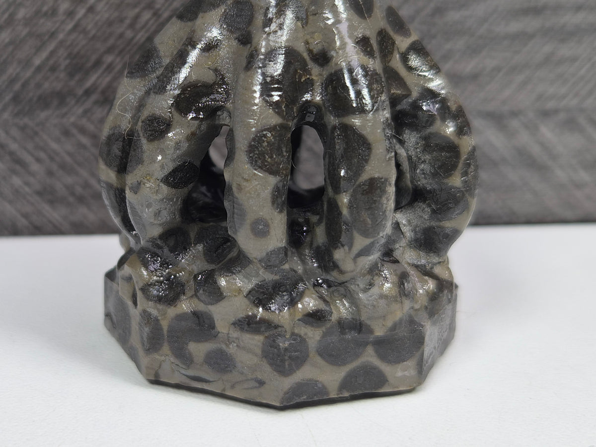 Luipaard Jaspis Octopus 120 gram