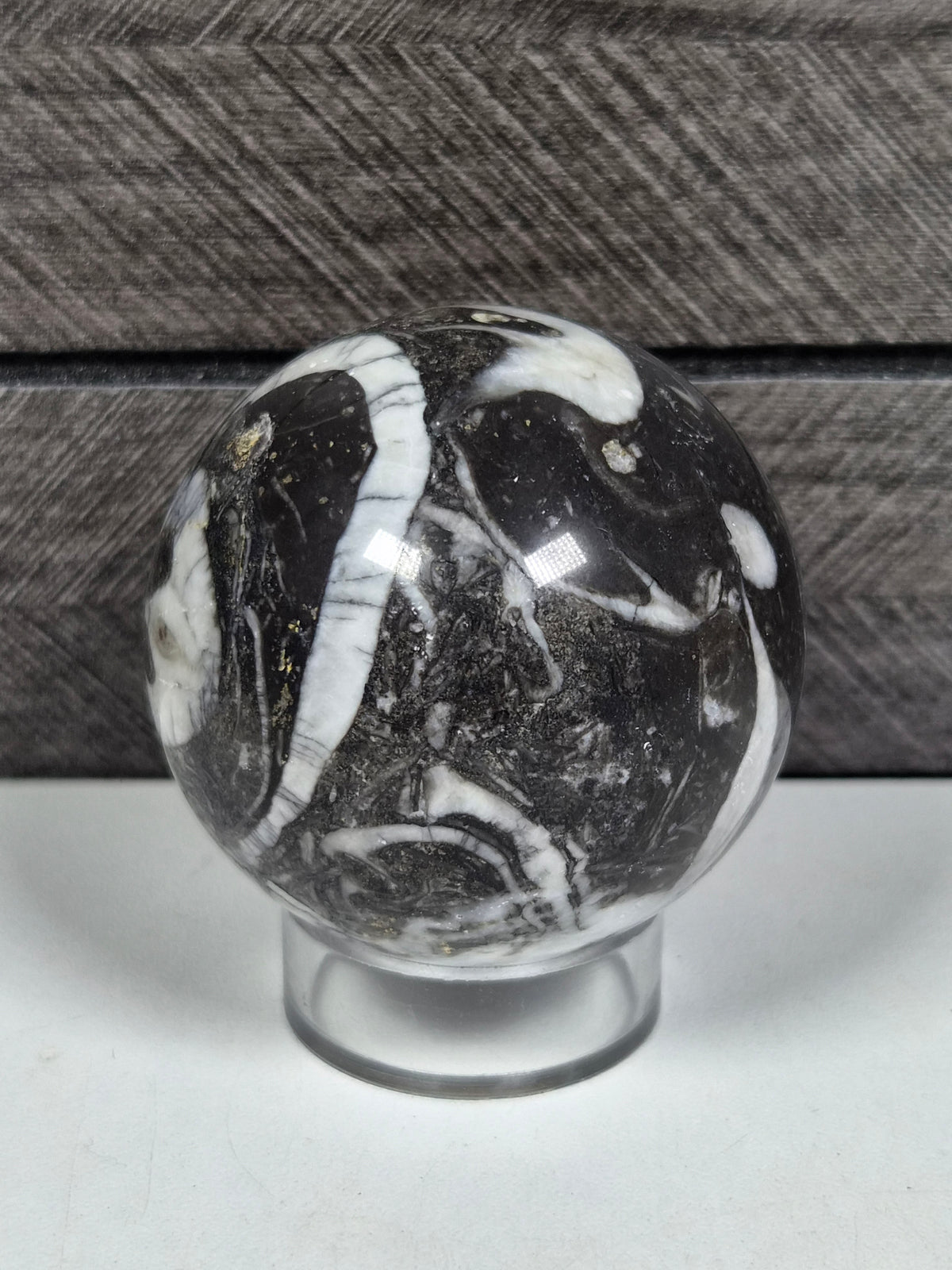 Sea Shell Jaspis bol 202 gram