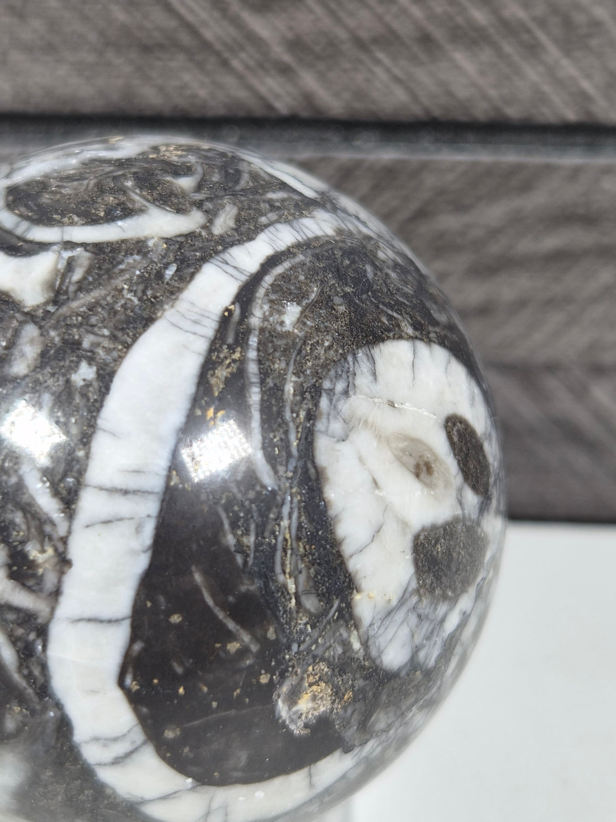 Sea Shell Jaspis bol 202 gram