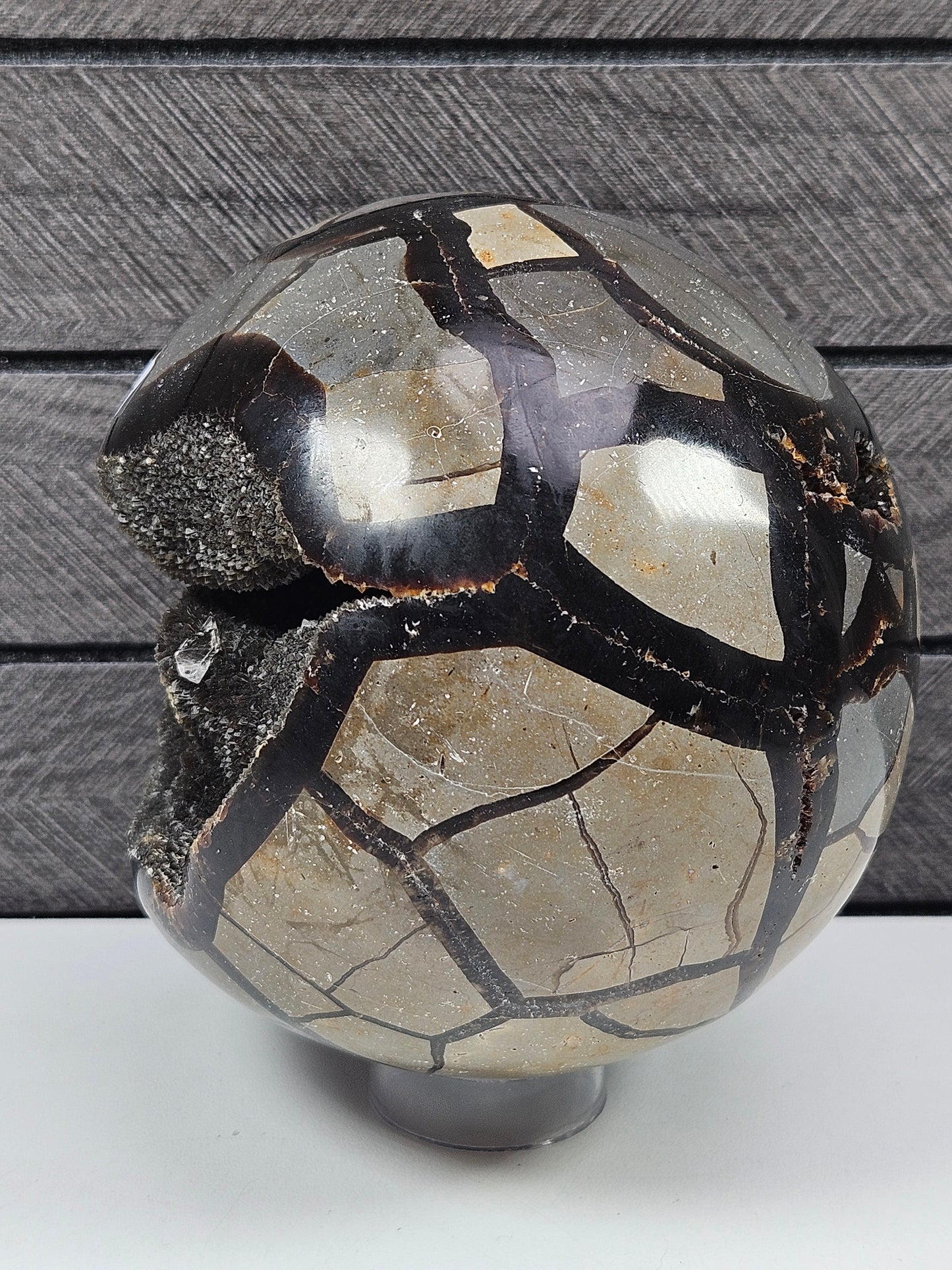 Septarie bol 1500 gram